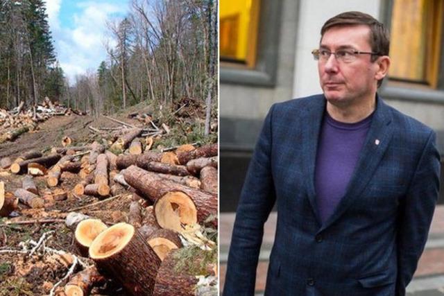 Колаж: OBOZREVATEL Луценко та ліс