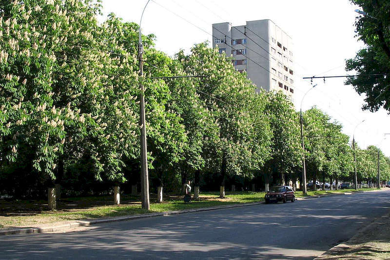 Проспект Генерала Григоренко