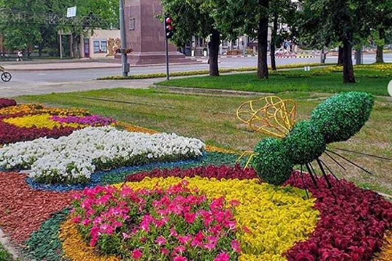 Фото: интернет