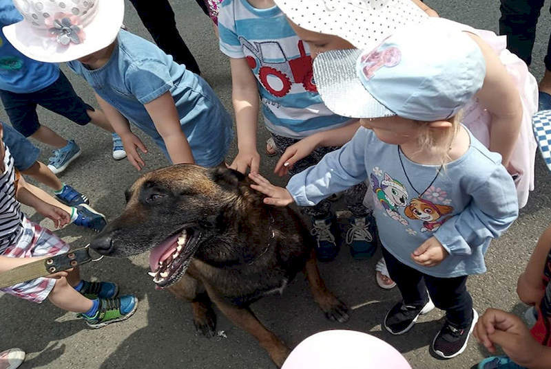Діти гладять службового собаку