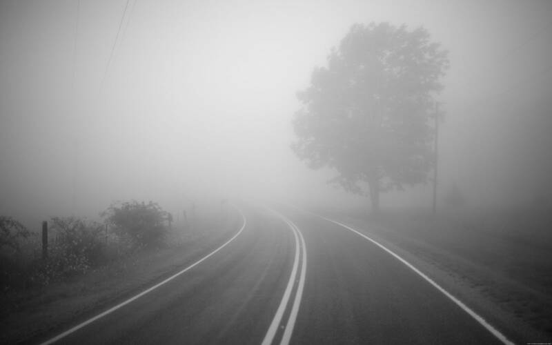 Фото: інтернет