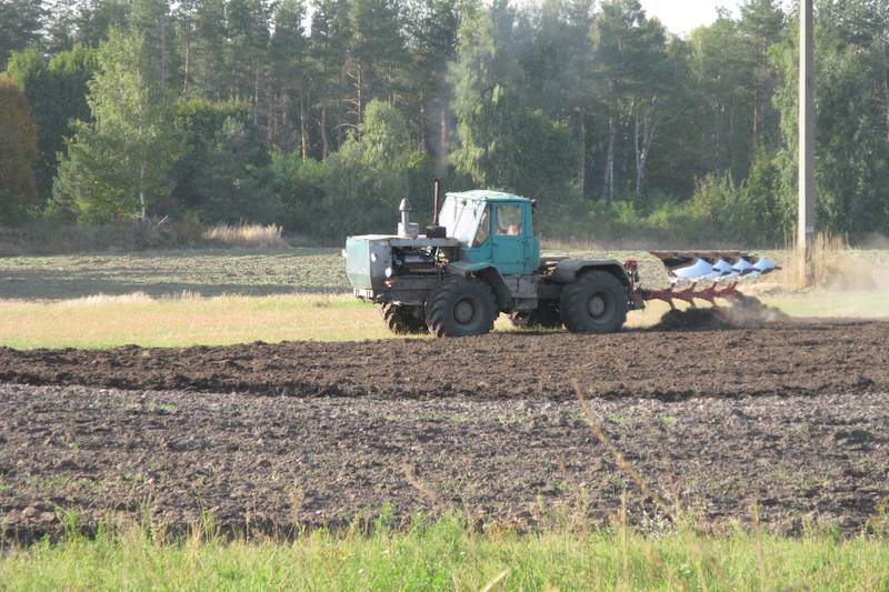 Фермерське поле