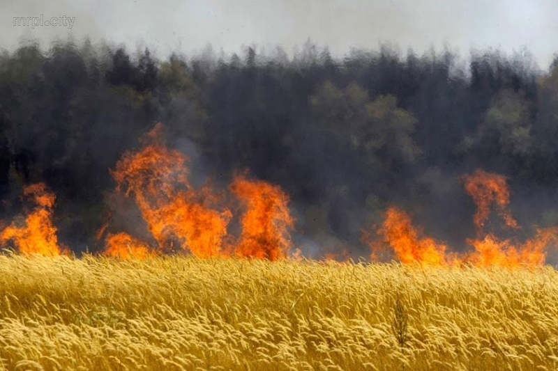 Пожежа на полі