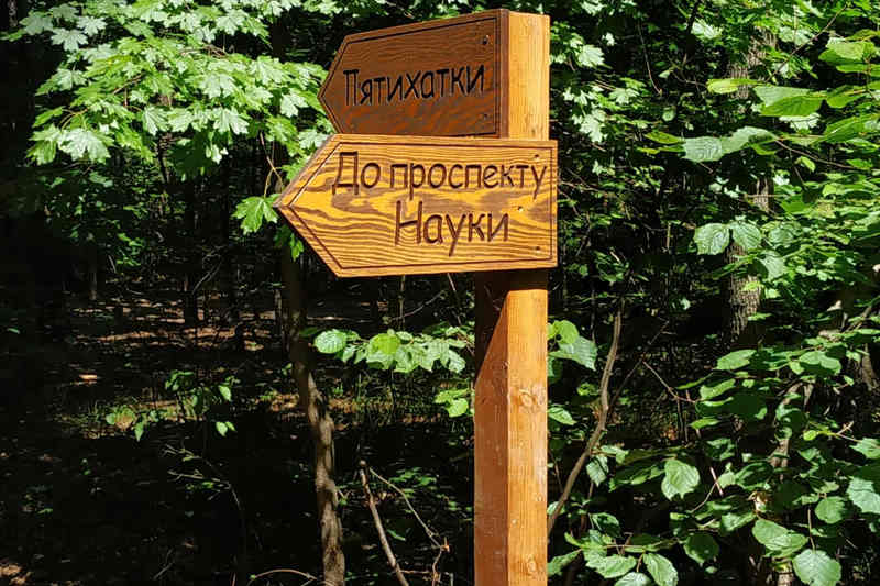 Указатели в Лесопарке