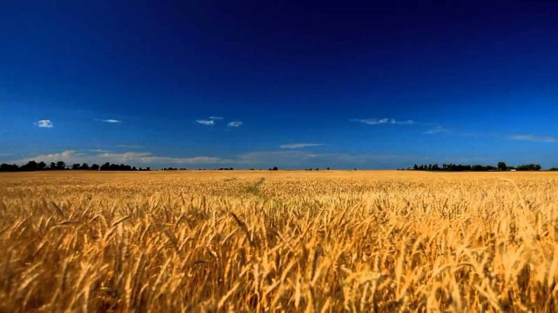 Фото: інтернет