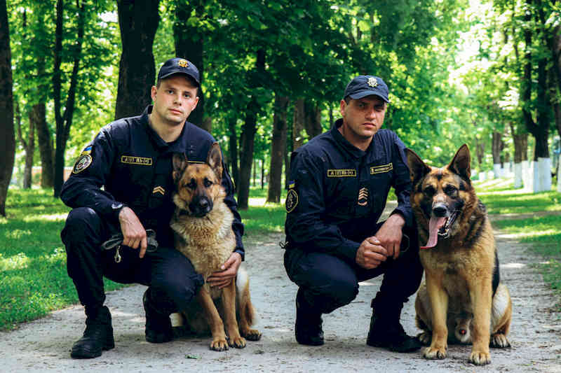 Кінологічні пари - учасники параду