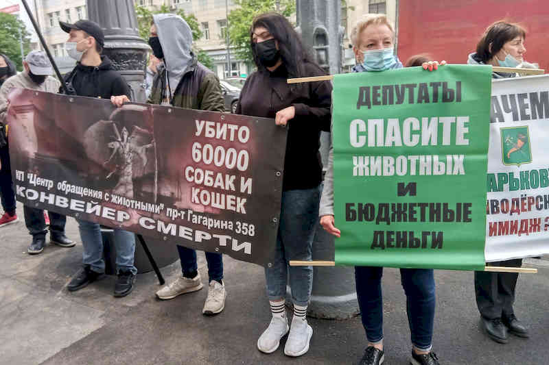Пікет проти евтаназії