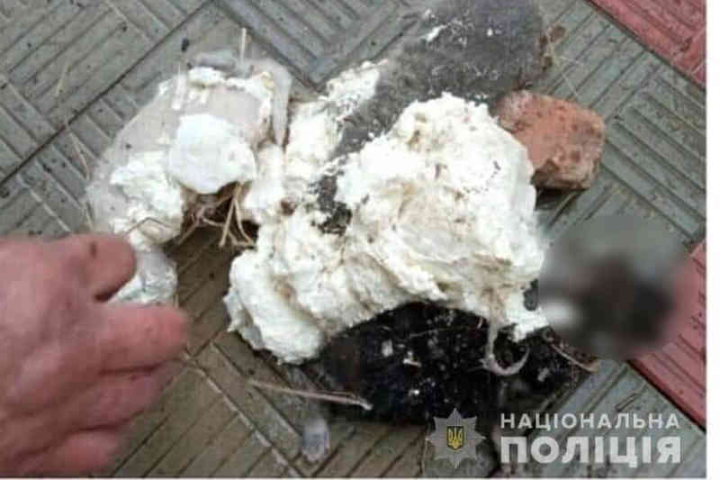 Кішка в монтажній піні