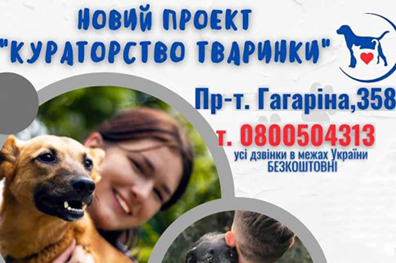 Кураторство над тваринами