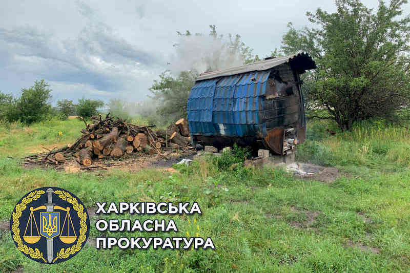 Перепаління деревини в вугілля