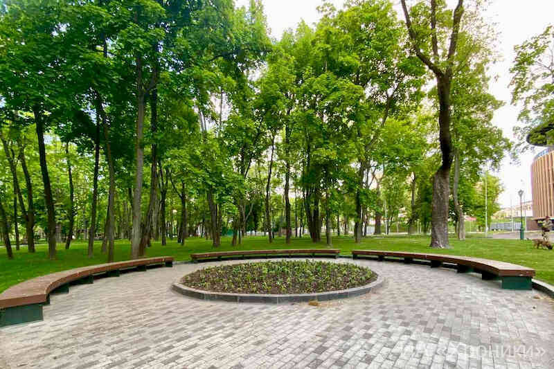 Посадка лілій