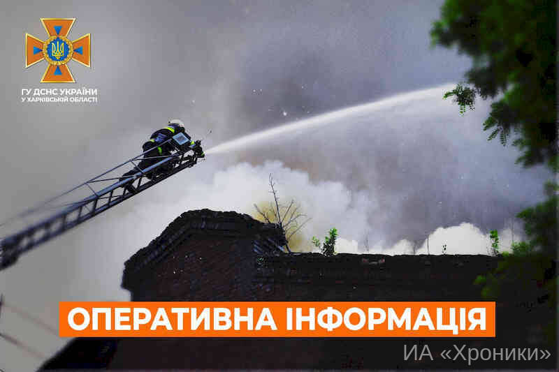 Спасатели