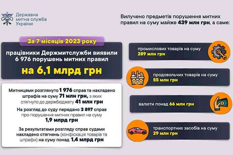 Виявлені порушення митних правил