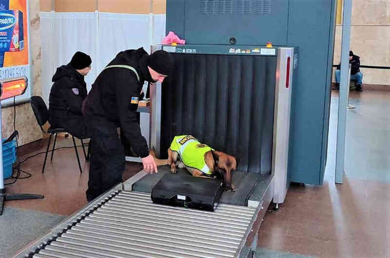 Служебная собака харьковских таможенников проверяет багаж пассажиров на железнодорожном вокзале