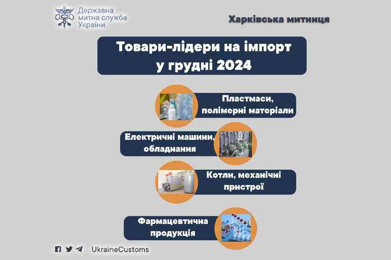 Товари-лідери на імпорт у грудні 2024 року