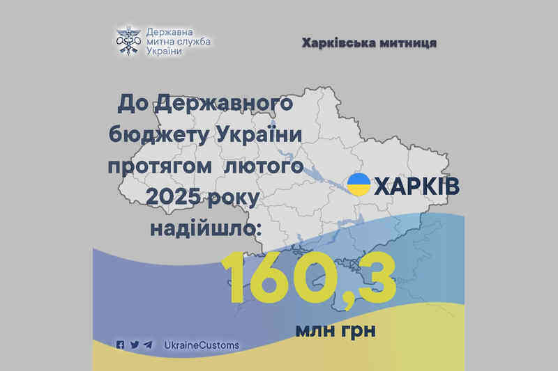 До Державного бюджету України протягом лютого 2025 року надійшло 160,3 млн грн