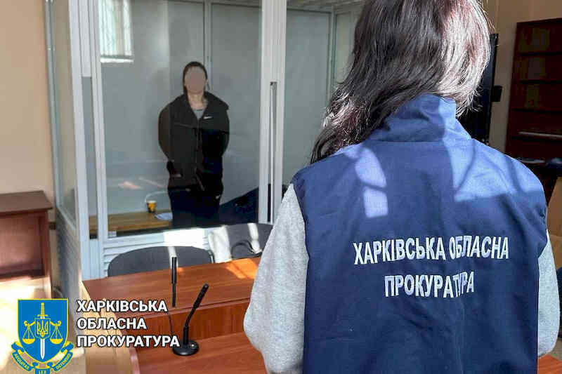 Затримана агентка рф у суді