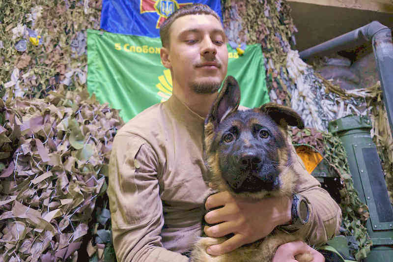 Теймур і Беста