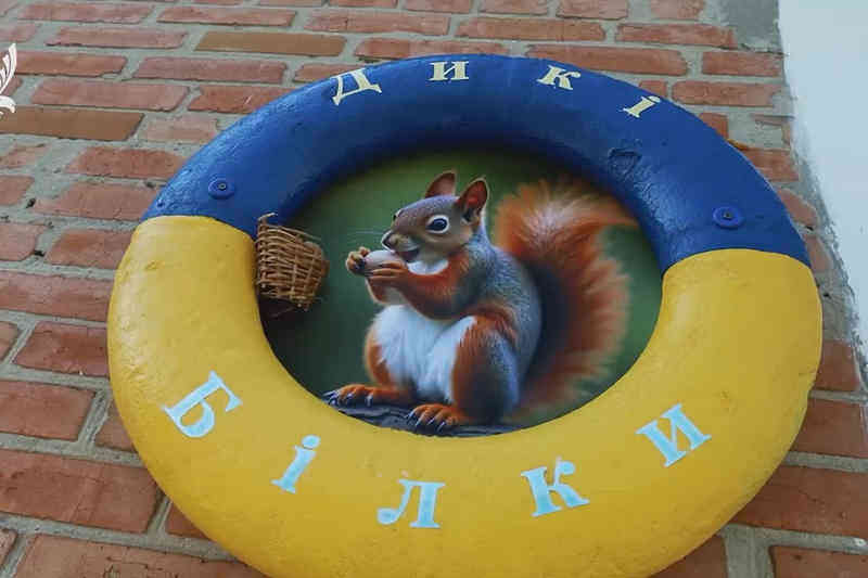 «Дикі білки»