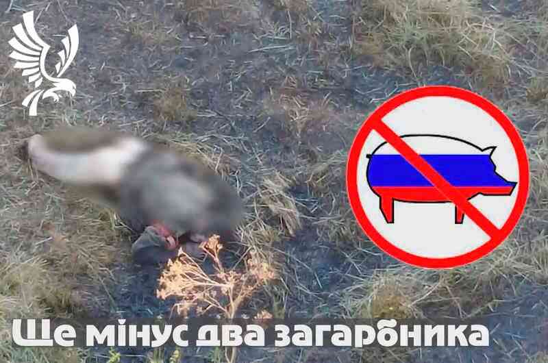 Дроноводи 5 Слобожанская бригада «Скиф» НГУ уничтожают российских захватчиков
