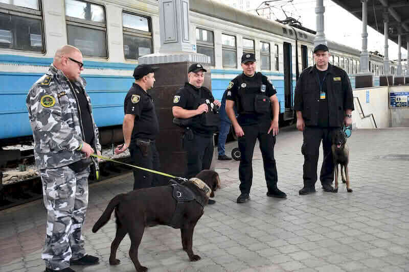 Кінологічні команди Харківської митниці працюють на сторожі громадського правопорядку