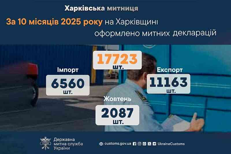 За 10 месяцев 2025 года оформлено 17723 таможенные декларации