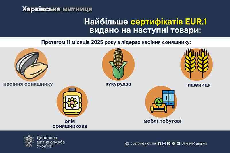 Больше всего сертификатов EUR.1 выдано на следующие товары:
