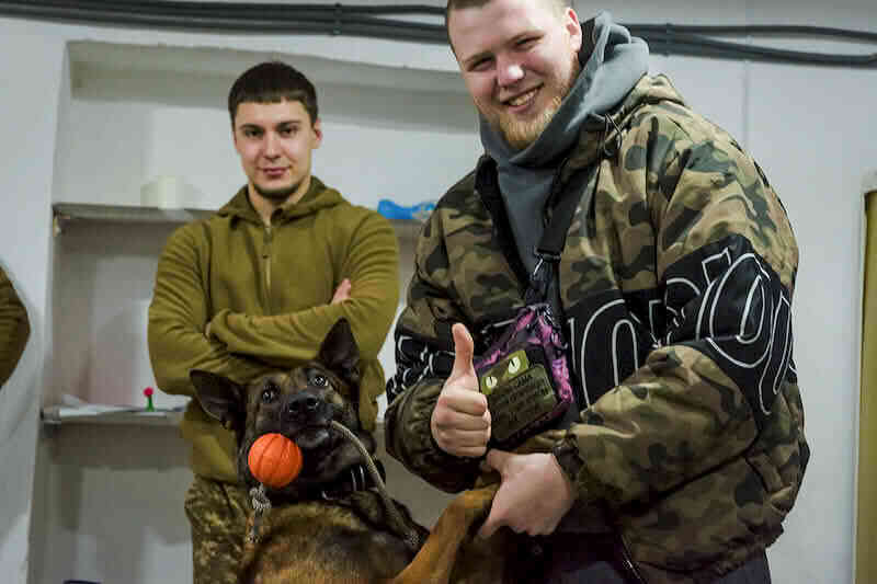 Пухнасті «Скіфи» допомагають у реабілітації військових