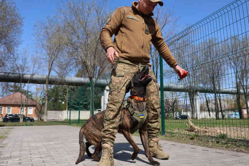 «Хантер» з Дівою