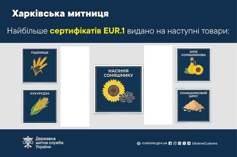 Больше всего сертификатов EUR.1 выдано на следующие товары: